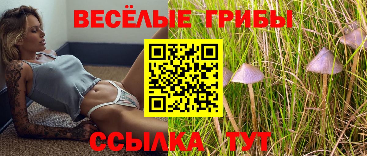 Лыткарино  Галлюциногенные грибы GOLDEN TEACHER  Вход с VPN 