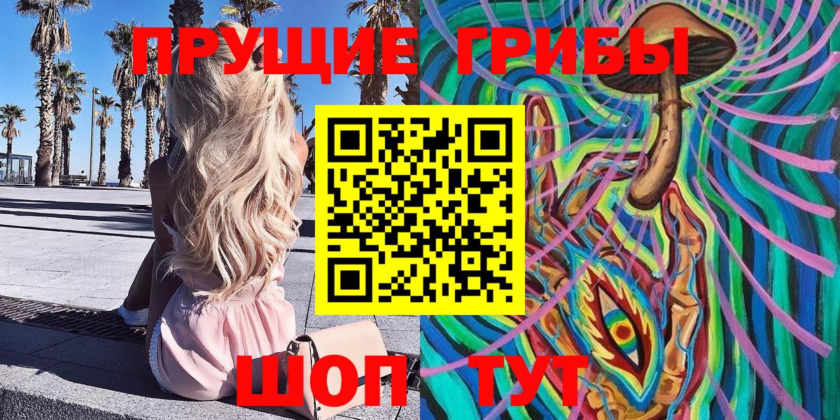 Псилоцибиновые грибы Psilocybe  Лыткарино 